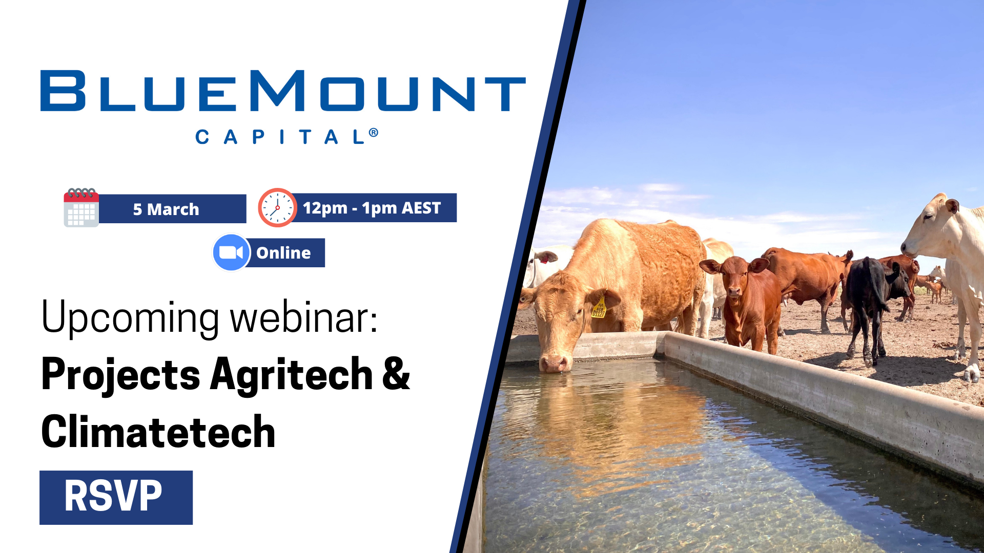 Webinar image: Projects Agritech & Climatetech